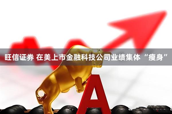 旺信证券 在美上市金融科技公司业绩集体 “瘦身”