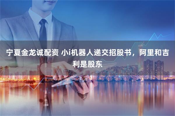 宁夏金龙诚配资 小i机器人递交招股书，阿里和吉利是股东