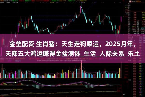 金垒配资 生肖猪：天生走狗屎运，2025月年，天降五大鸿运赚得金盆满钵_生活_人际关系_乐土